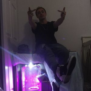 Meet your Posher, Brassi